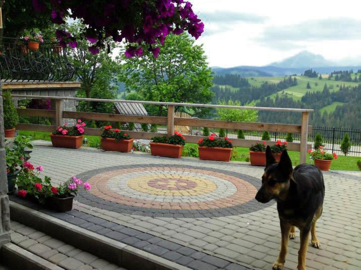 Goralska Chata Bustryk Exterior foto